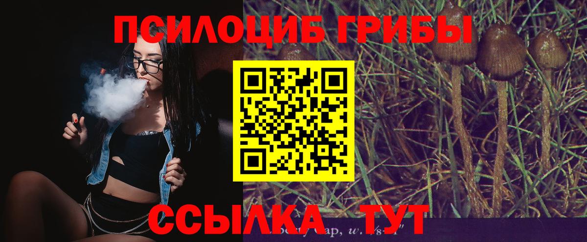 Псилоцибиновые грибы Magic Shrooms  Псилоцибиновые грибы Cubensis  Вход с VPN  Всеволожск 