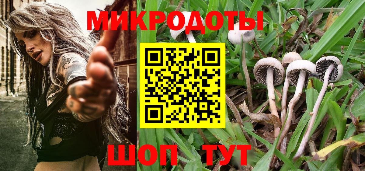 Псилоцибиновые грибы Magic Shrooms Всеволожск